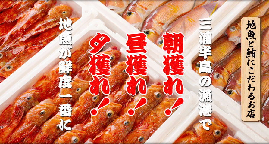 地魚と鮪にこだわるお店。朝獲れ！昼獲れ！夕獲れ！